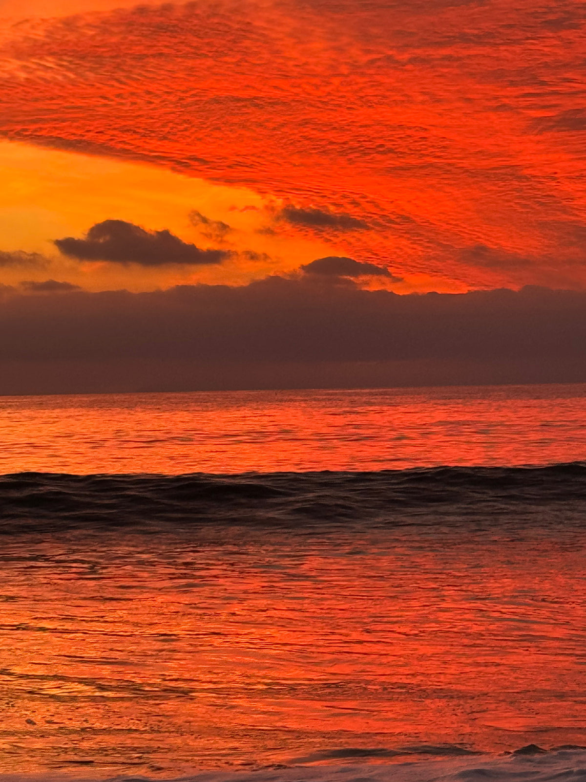 Laguna Beach