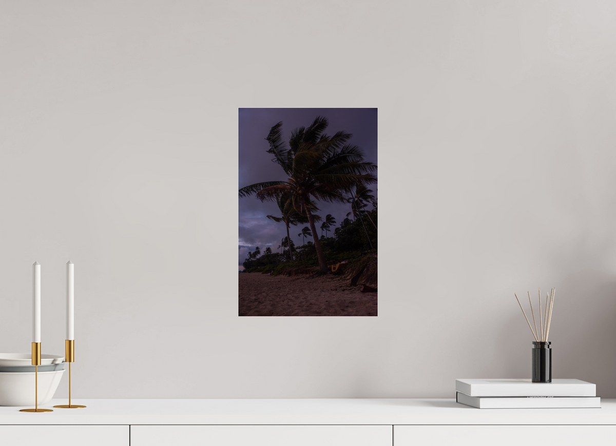 10 x 15″, Photo Print Under Acrylic Glass Palms Blowing in the Wind at Dawn