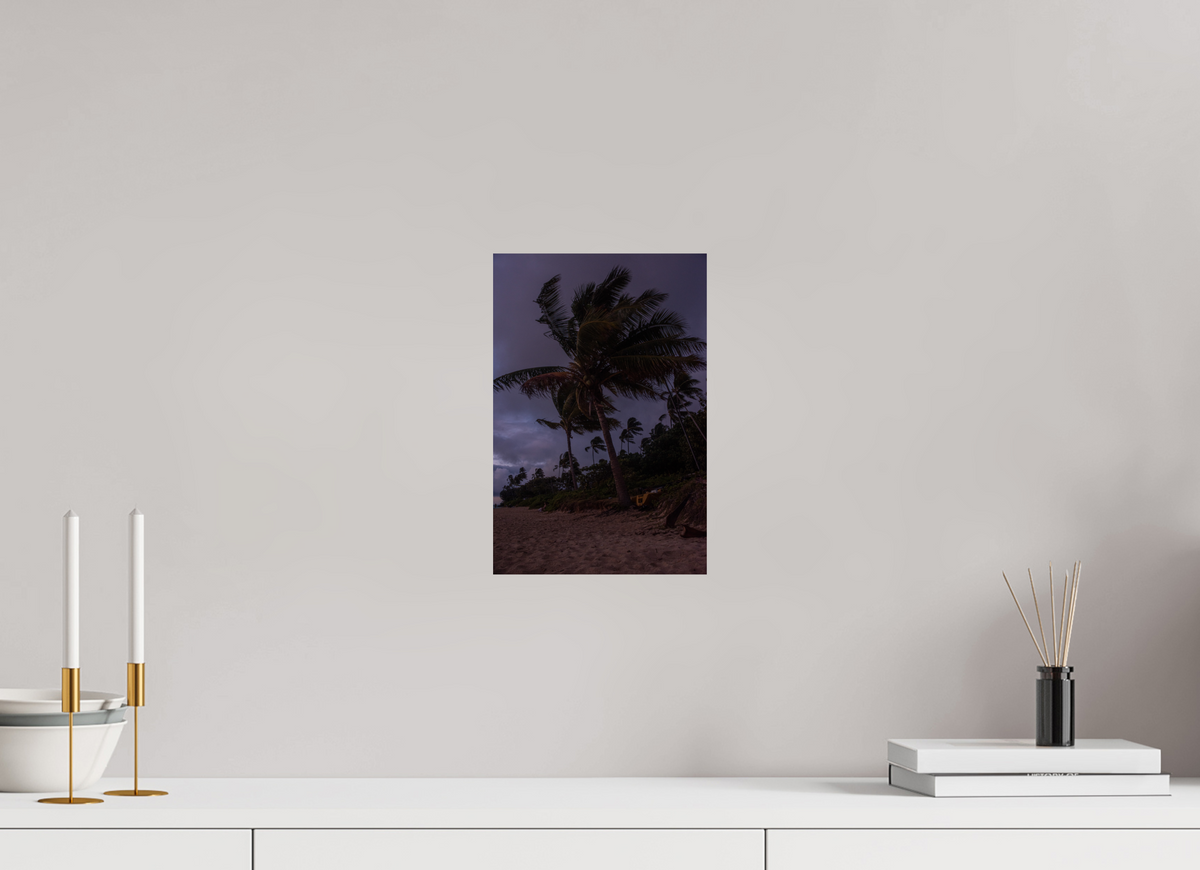 8 x 12″, Photo Print On Fuji Crystal DP II Palms Blowing in the Wind at Dawn