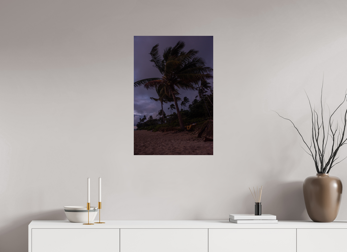 20 x 30″, Photo Print On Fuji Crystal DP II Palms Blowing in the Wind at Dawn