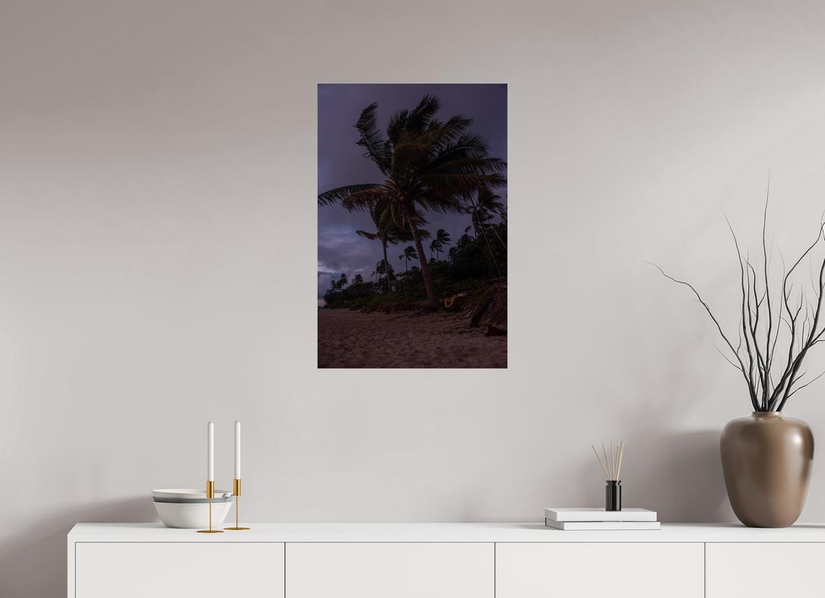 20 x 30″, Photo Print Under Acrylic Glass Palms Blowing in the Wind at Dawn