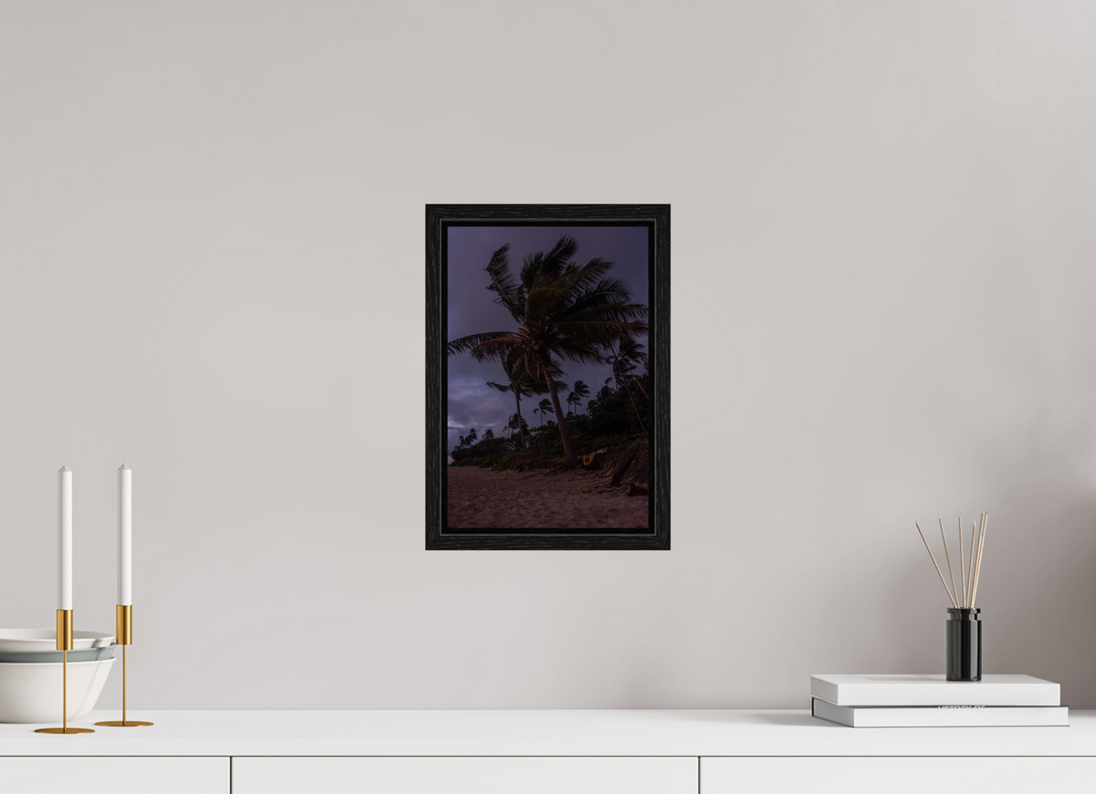 8 x 12″, Floater Frame Palms Blowing in the Wind at Dawn