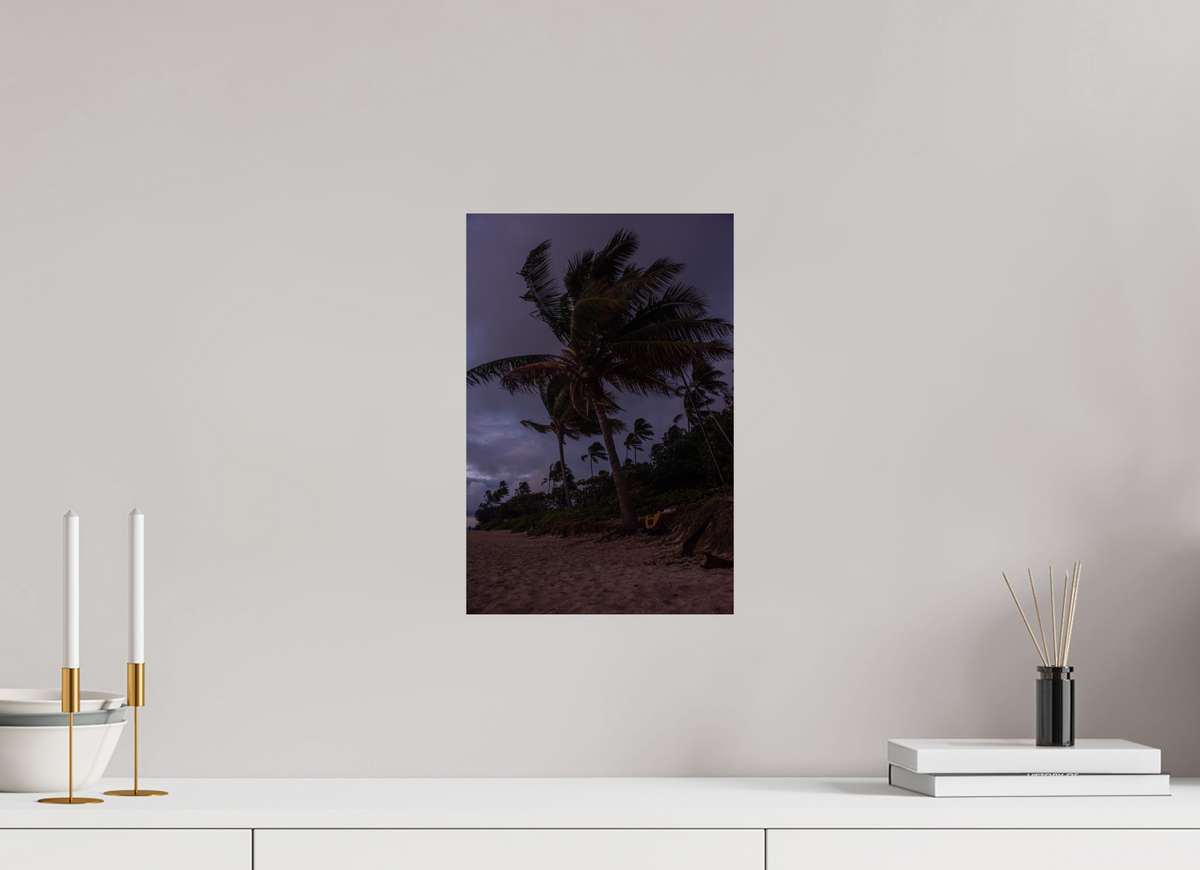 10 x 15″, Photo Print On Fuji Crystal DP II Palms Blowing in the Wind at Dawn
