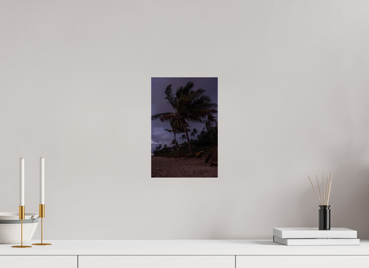 8 x 12″, Photo Print Under Acrylic Glass Palms Blowing in the Wind at Dawn