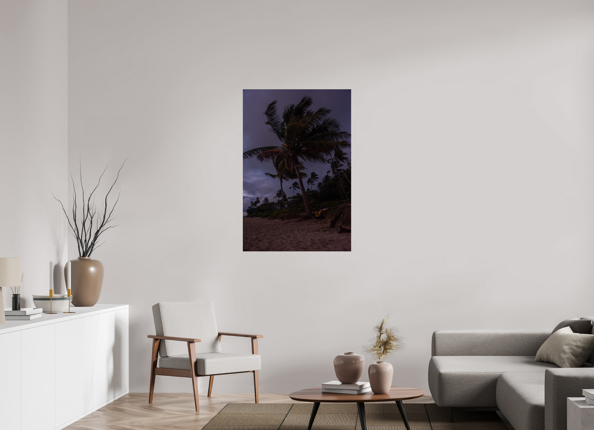 30 x 45″, Photo Print On Fuji Crystal DP II Palms Blowing in the Wind at Dawn
