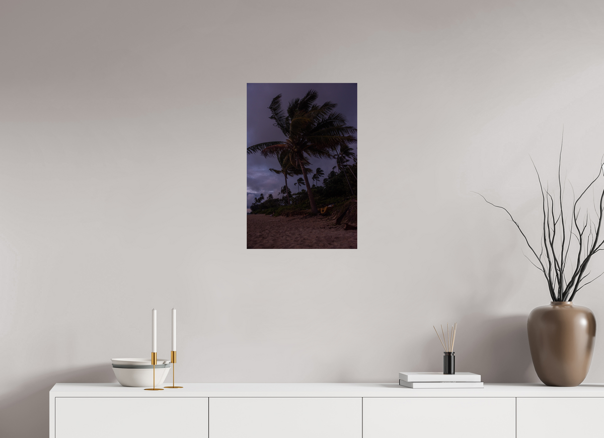 16 x 24″, Photo Print On Fuji Crystal DP II Palms Blowing in the Wind at Dawn