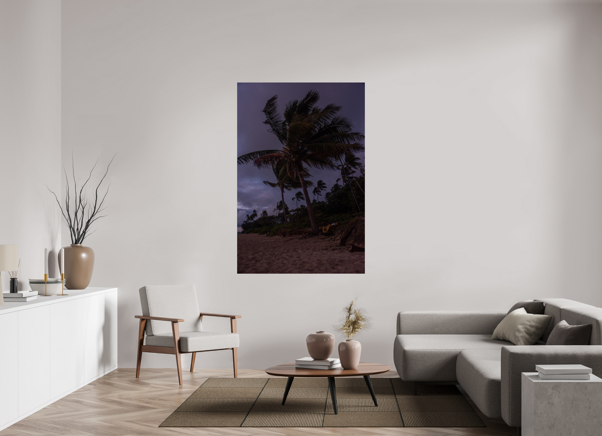 44 x 66″, Photo Print On Fuji Crystal DP II Palms Blowing in the Wind at Dawn